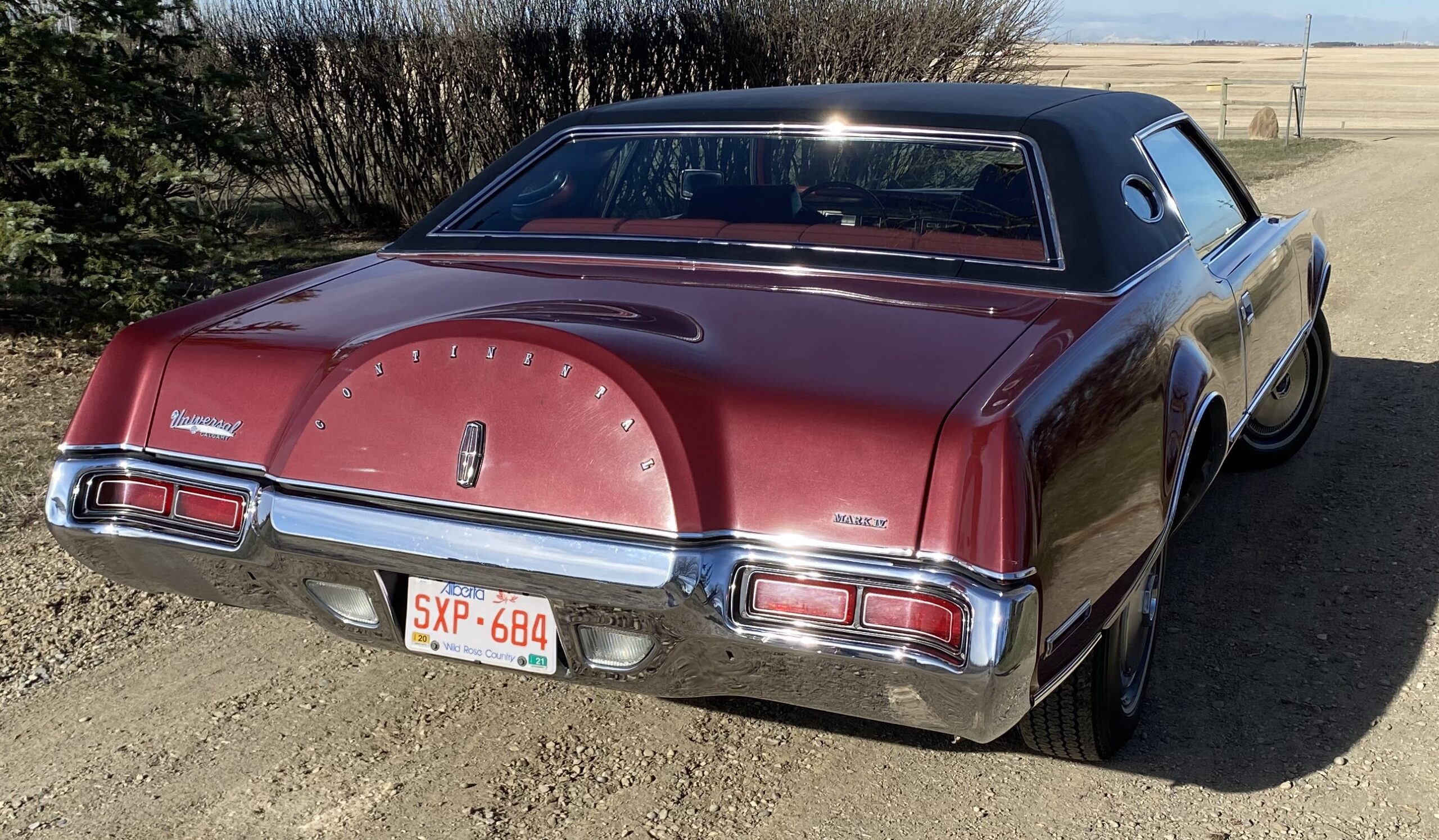 Photo 2024-04-13, 9 11 00 AM